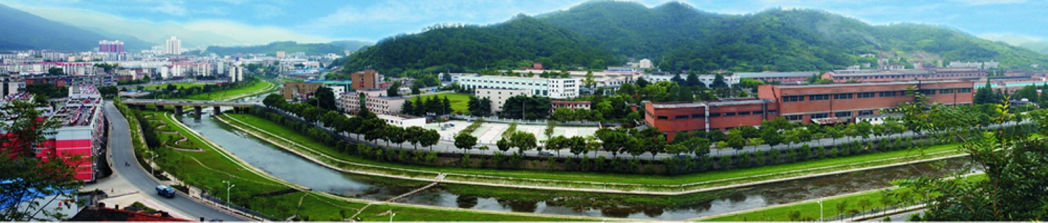 锻造公司